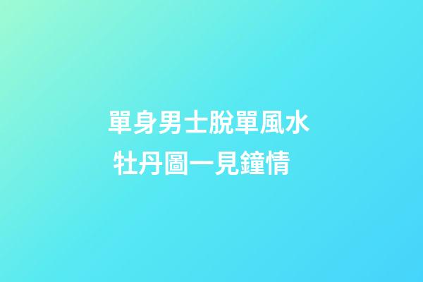 單身男士脫單風水  牡丹圖一見鐘情